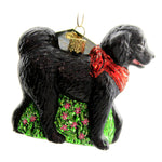 Old World Christmas Black Doodle Dog Glass Ornament Faithful Pet 12560. (45766)