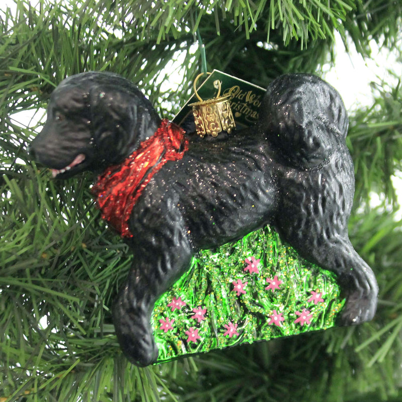 Old World Christmas Black Doodle Dog - - SBKGifts.com