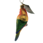 Old World Christmas Sun Conure - - SBKGifts.com