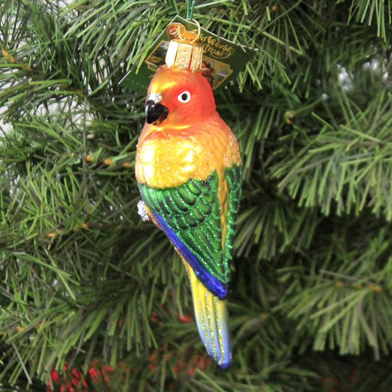 Old World Christmas Sun Conure - - SBKGifts.com