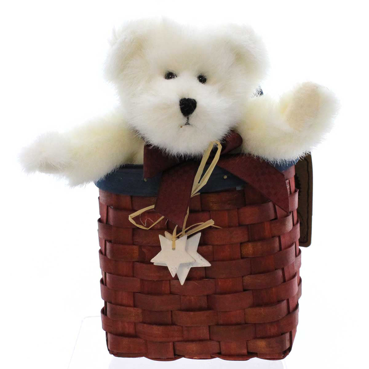 (4607) Starry Basketcase