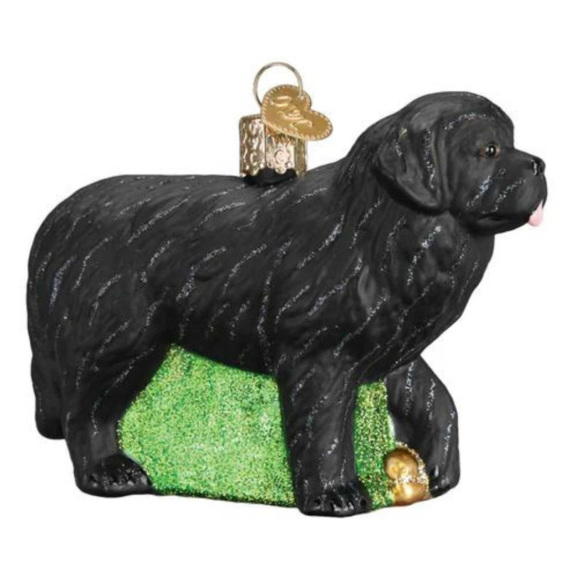Old World Christmas Newfoundland - One Ornament 2.75 Inch, Glass - Newfie Tibetan Mastiff 12529. (46285)