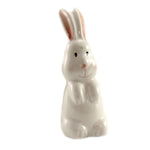 Tabletop Rabbit In Hat Salt & Pepper Set - - SBKGifts.com