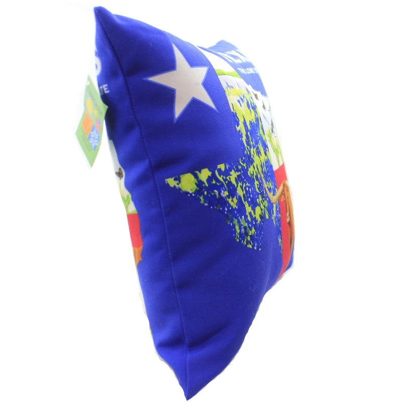 Home Decor Texas Collage Climaweave Pillow - - SBKGifts.com