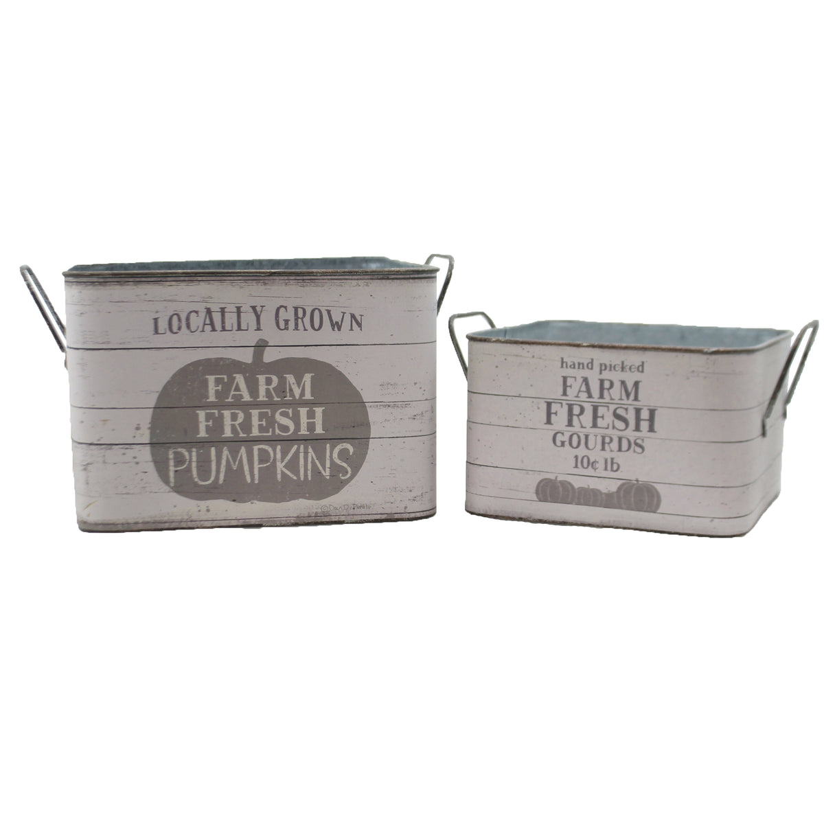 (48243) Farm Fresh Pumpkins Buckets