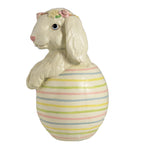 Easter Primrose Bunny In Egg - - SBKGifts.com