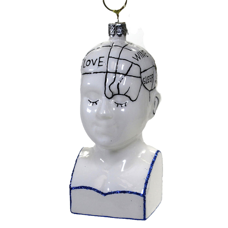 Holiday Ornament Phrenology Glass Science Brain Emotion Mind Go2558 (48885)