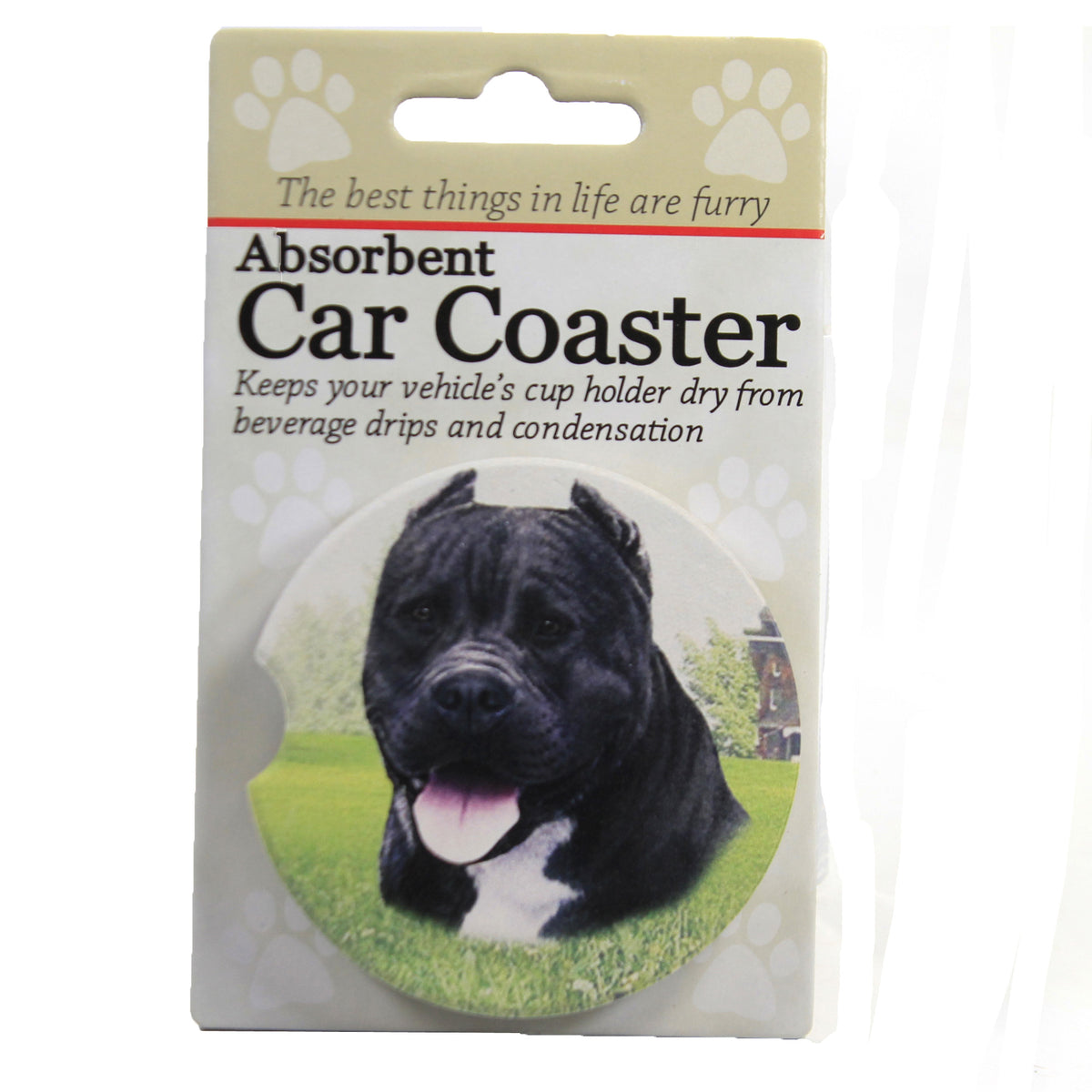 (49496) American Pit Bull