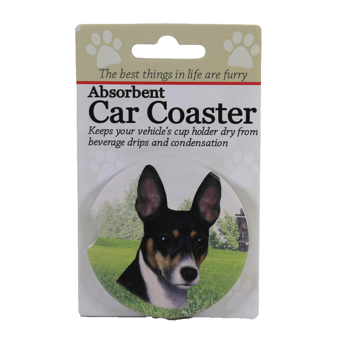 (49602) Rat Terrier Car Coaster