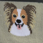 Novelty Socks Papillon Socks - - SBKGifts.com