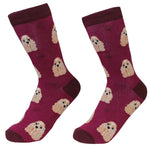 Cocker Spaniel Socks - One Pair Socks 15.25 Inch, Cotton - Premium Soft Quality 80078 (49619)