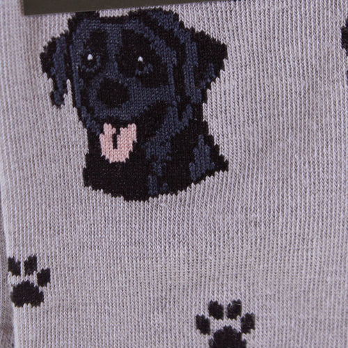 Novelty Socks Black Labrador Socks - - SBKGifts.com