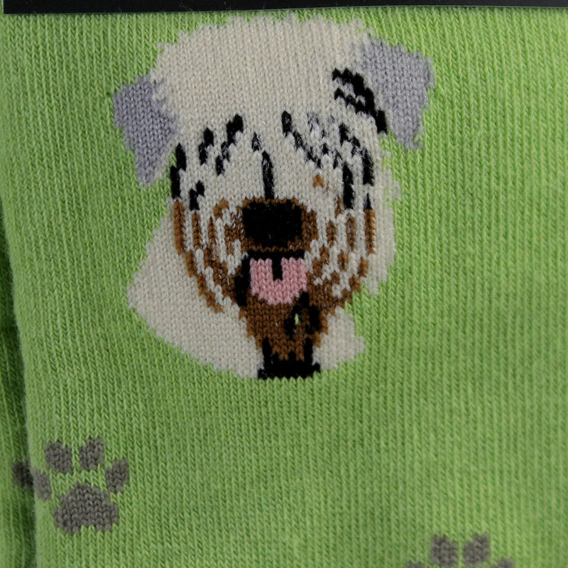 Novelty Socks Soft Coated Wheaton Terrier Soc - - SBKGifts.com