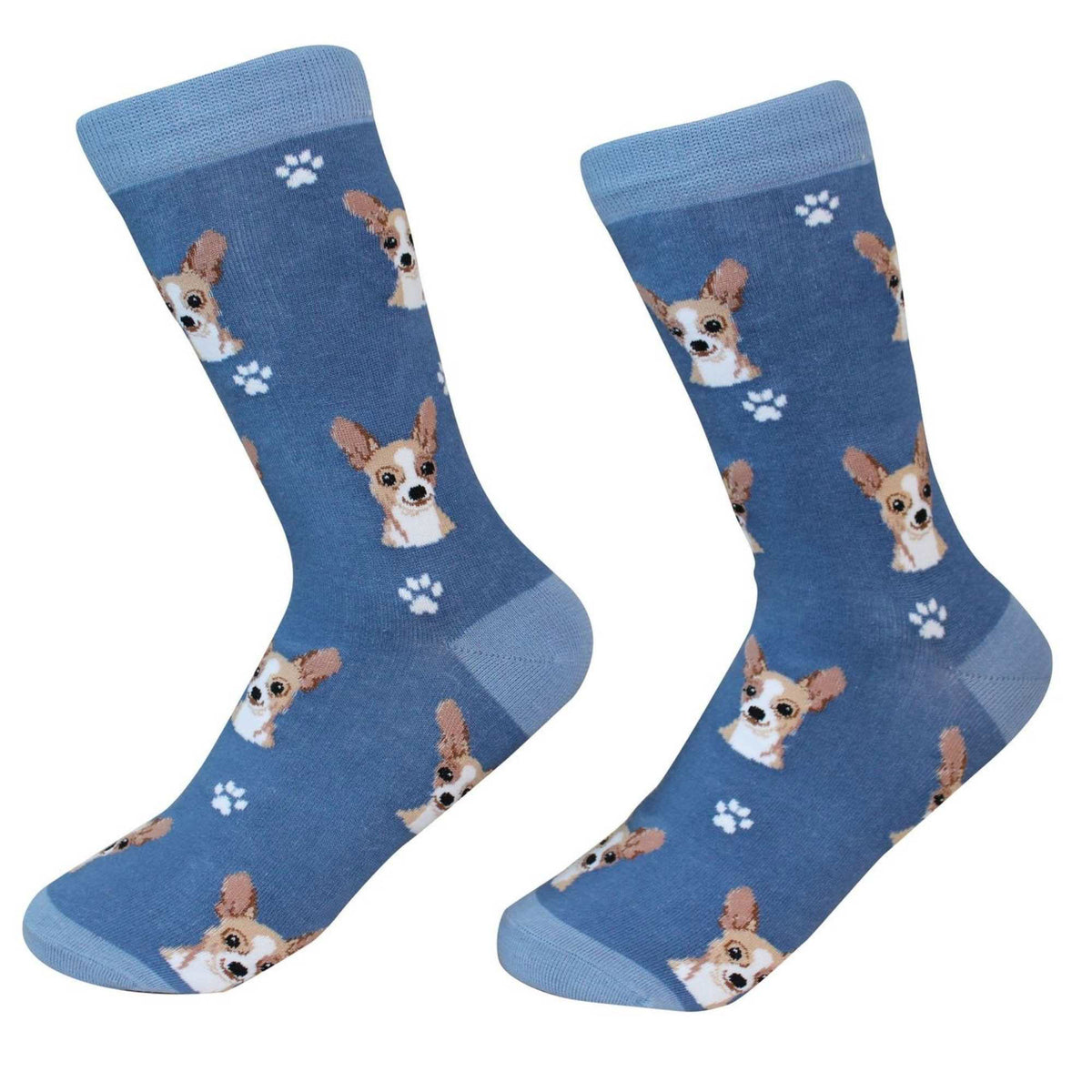 (49661) Chihuahua Fawn Socks