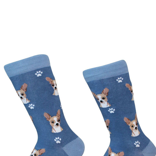 Novelty Socks Chihuahua Fawn Socks - - SBKGifts.com
