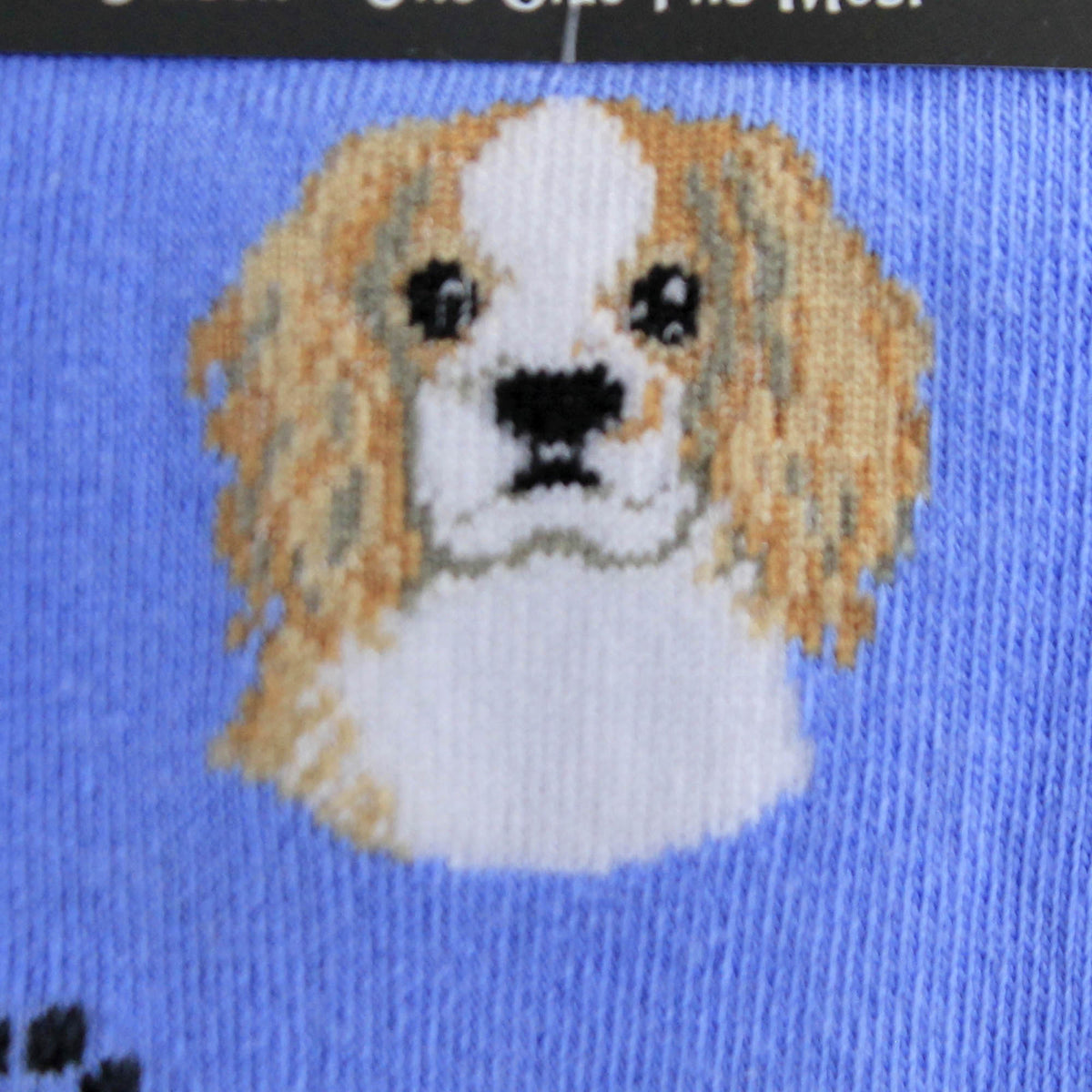 E & S Imports Cavalier King Charles Socks - - SBKGifts.com