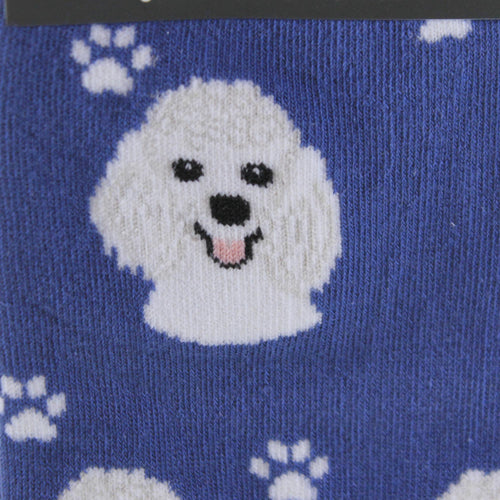 Novelty Socks White Poodle Socks - - SBKGifts.com