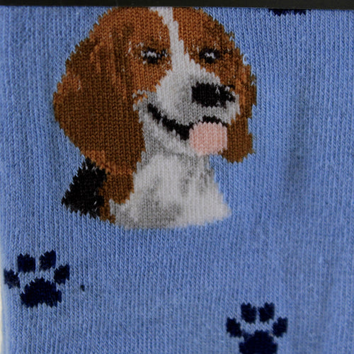 Novelty Socks Beagle Socks - - SBKGifts.com