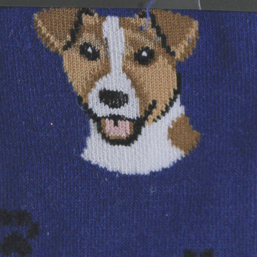 Novelty Socks Jack Russell Terrier Socks - - SBKGifts.com