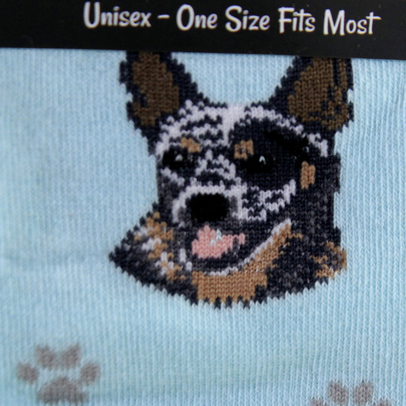 Novelty Socks Australian Cattle Dog - - SBKGifts.com