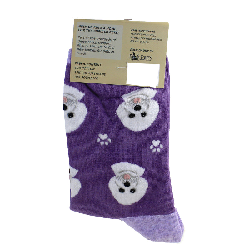 Novelty Socks Bichon Frise Socks - - SBKGifts.com