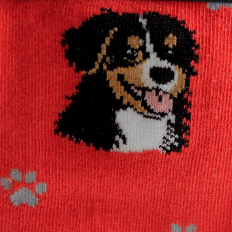 Novelty Socks Bernese Mountain Dog Socks - - SBKGifts.com