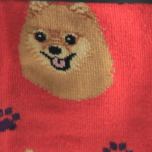 Novelty Socks Pomeranian Socks - - SBKGifts.com