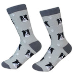 Border Collie Socks - One Pair Of Socks 14.0 Inch, Cotton - Premium Quality 8005 (49691)