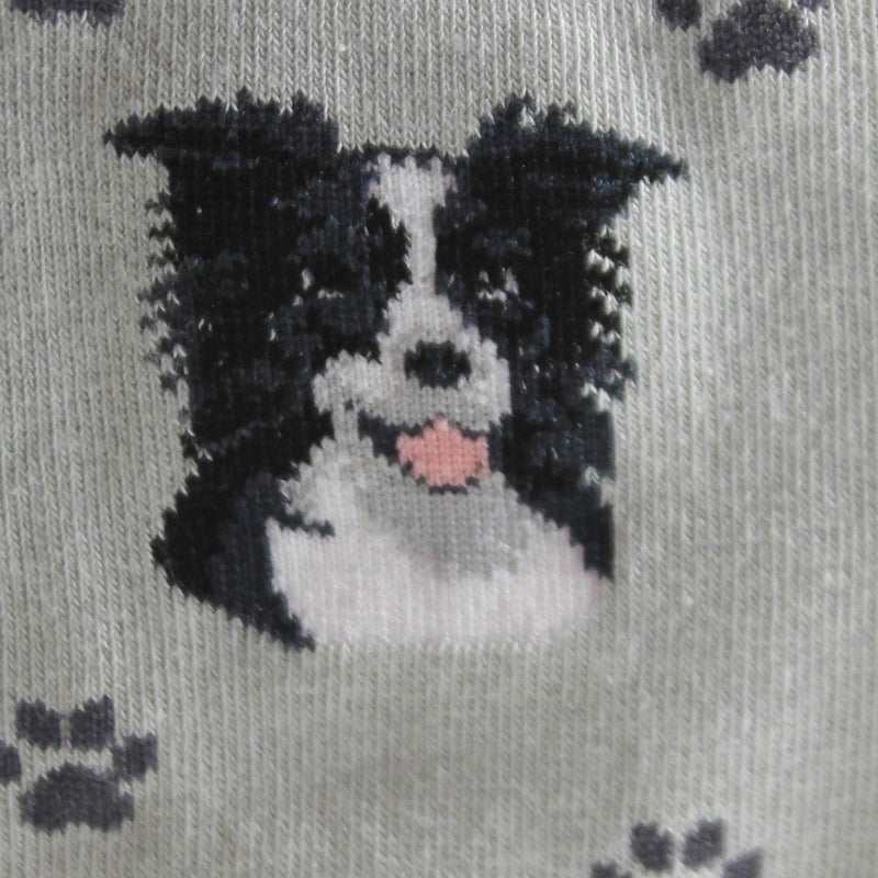 Novelty Socks Border Collie Socks - - SBKGifts.com