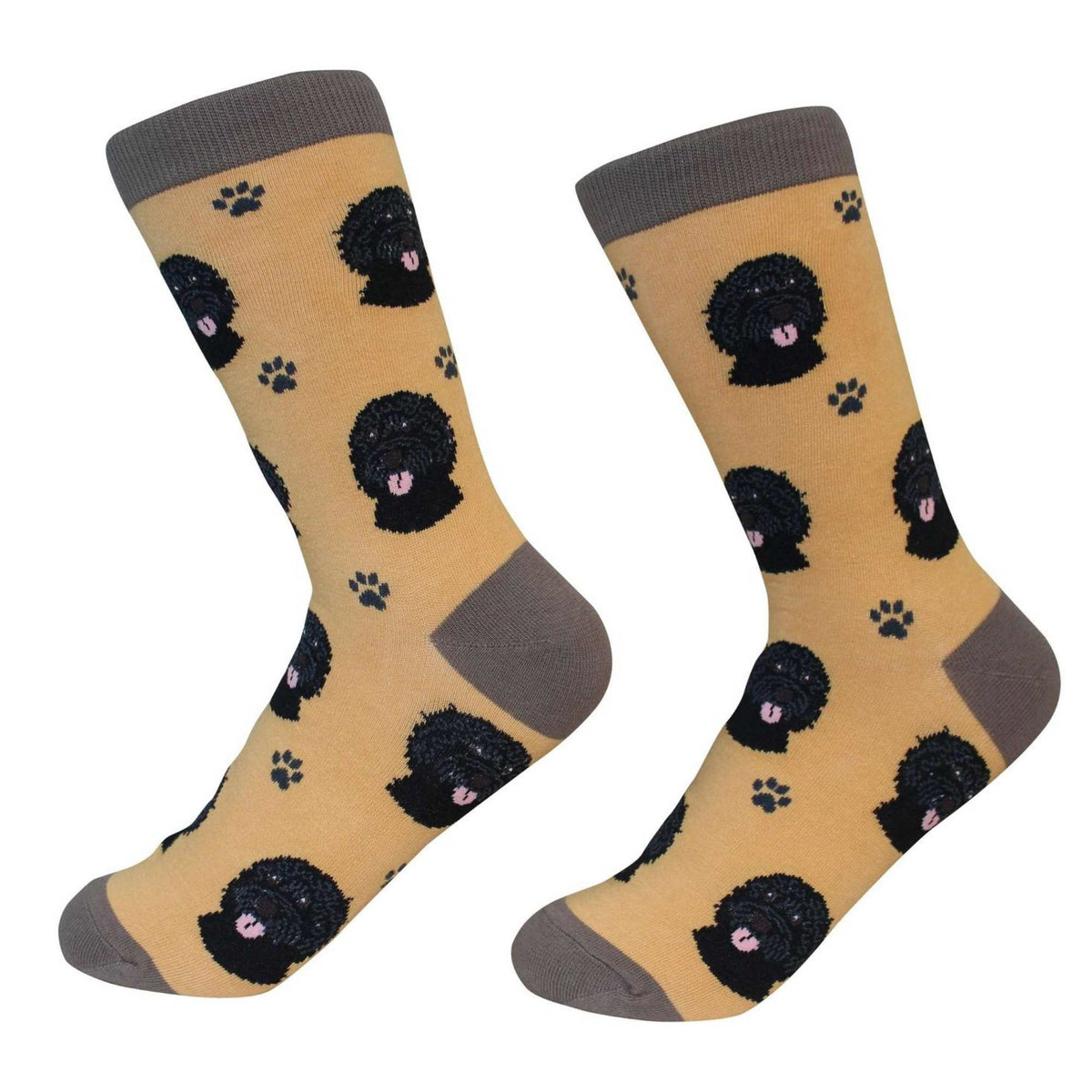 (49701) Black Labradoodle Socks