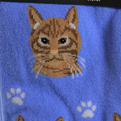 Novelty Socks Orange Tabby Cat Socks - - SBKGifts.com