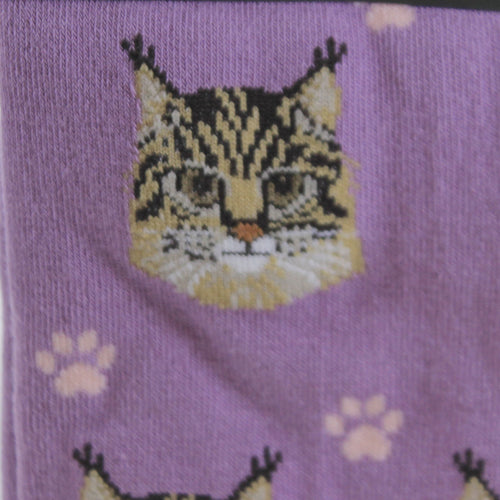 Novelty Socks Maine Coon Cat Sock Daddy Socks - - SBKGifts.com