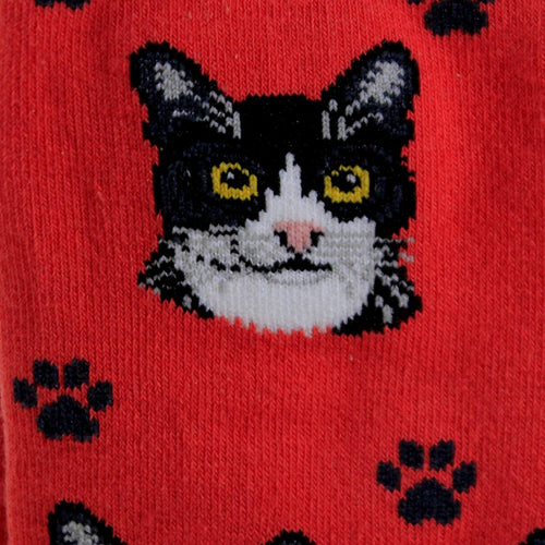 Novelty Socks Black & White Cat Socks - - SBKGifts.com