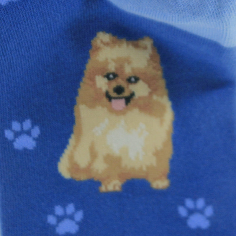 Novelty Socks Pomeranian Happy Tails Socks - - SBKGifts.com