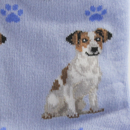 Novelty Socks Jack Russell Terrier Socks. - - SBKGifts.com