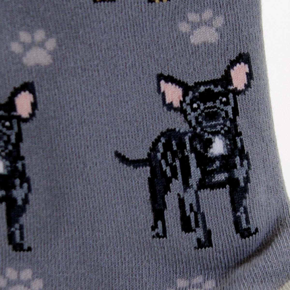 Novelty Socks Black Chihuahua Socks - - SBKGifts.com