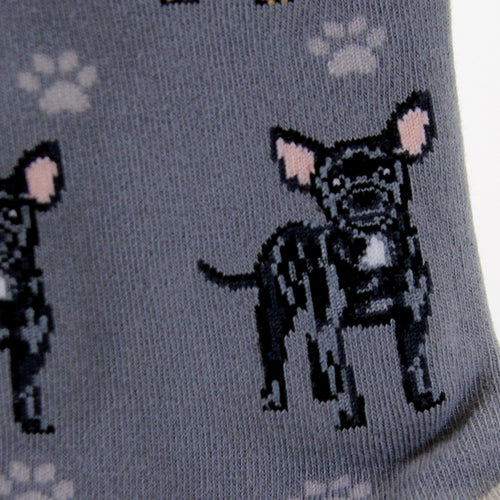 Novelty Socks Black Chihuahua Socks - - SBKGifts.com
