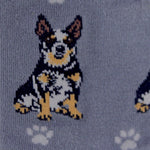 Novelty Socks Australian Cattle Dog Socks - - SBKGifts.com