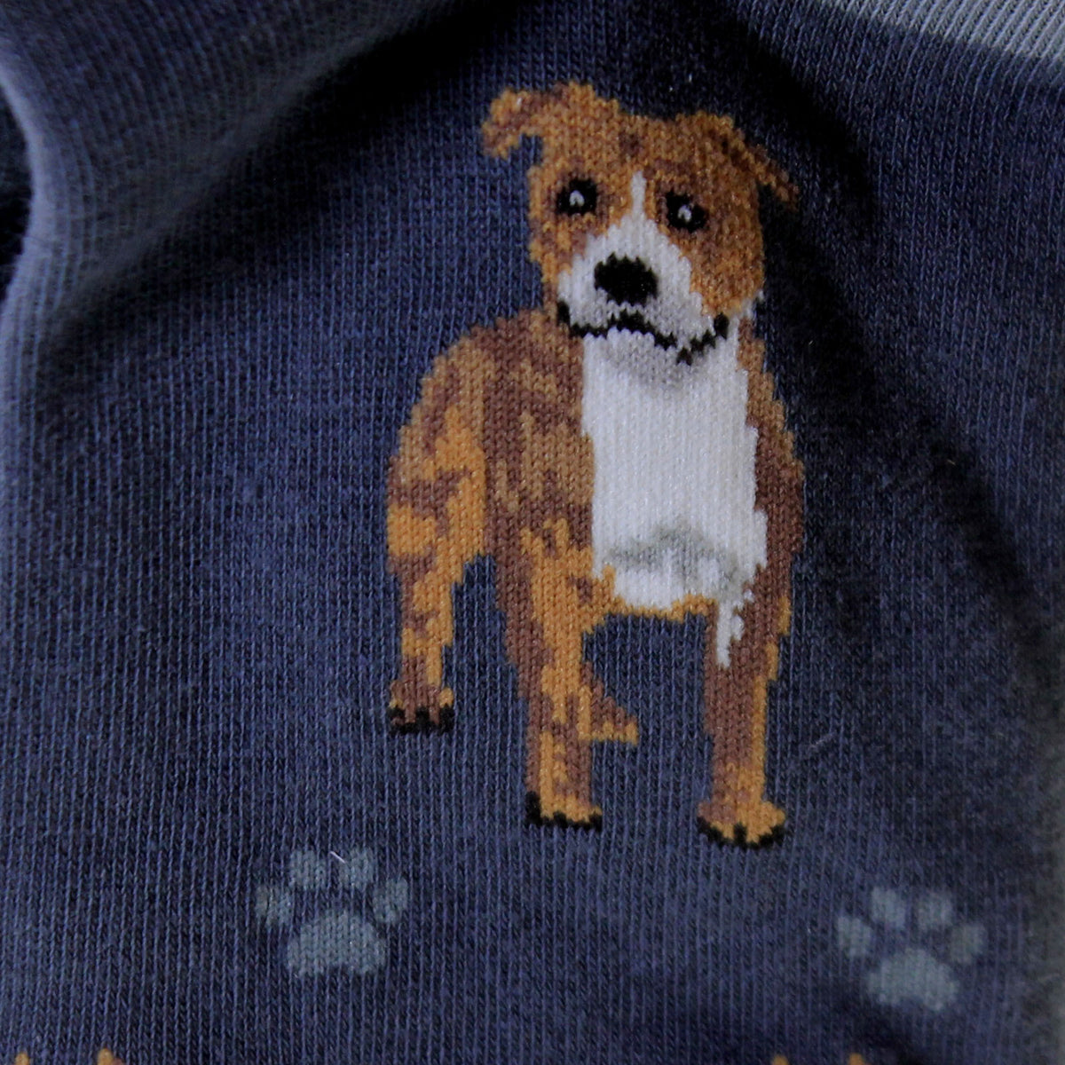 Novelty Socks Pit Bull Happy Tails Socks - - SBKGifts.com