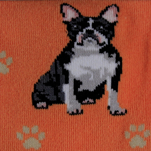 Novelty Socks Boston Terrier Happy Tails Sock - - SBKGifts.com