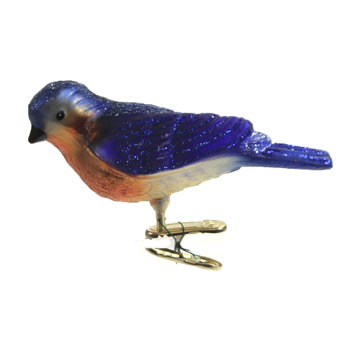 (49903) Western Bluebird.