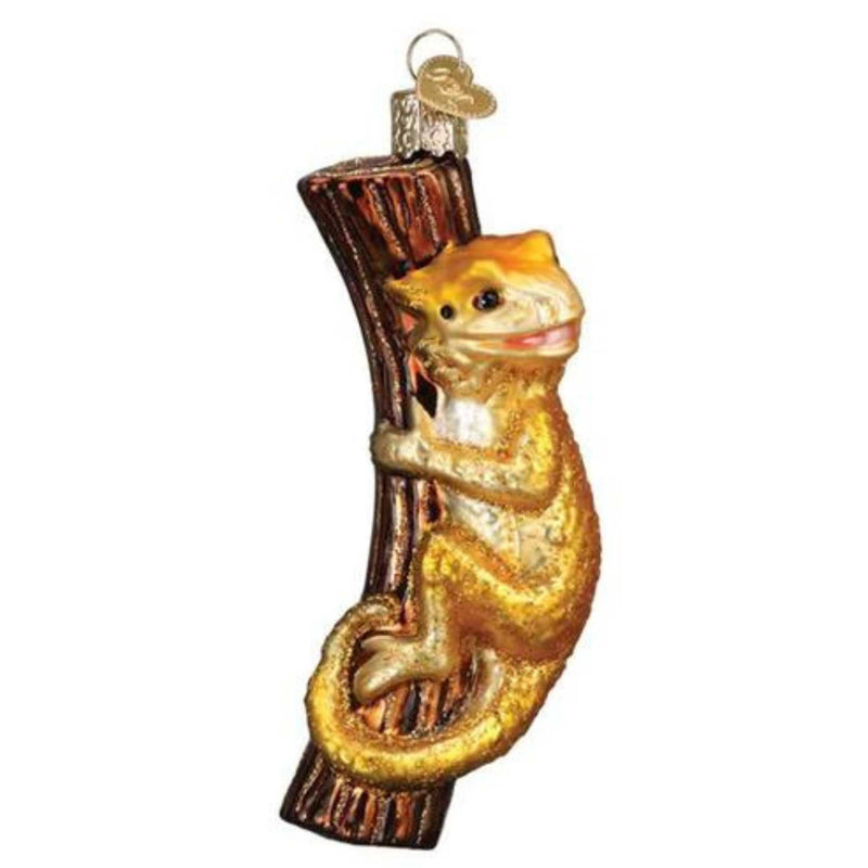 (49913) Bearded Dragon