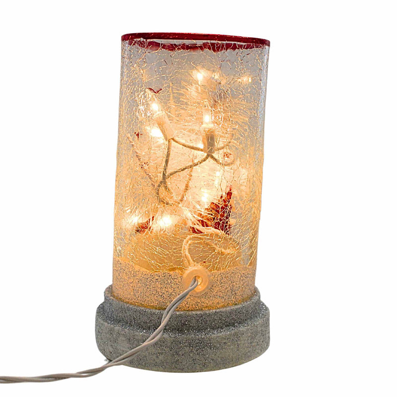 Stony Creek Clearly Winter Hurricane Pre-Lit - - SBKGifts.com