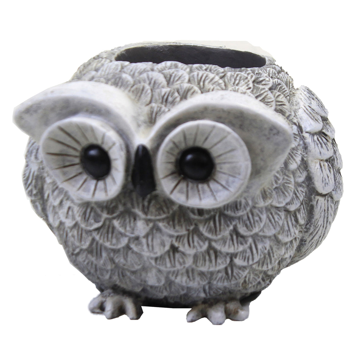 (50245) Mini Owl Pudgy Planter
