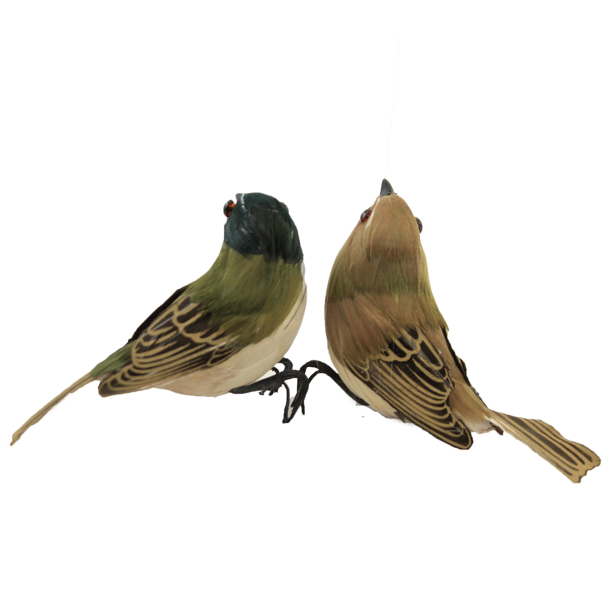 Home Decor Feather Birds Brown Green - - SBKGifts.com