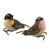 Home Decor Feather Birds Brown Green - - SBKGifts.com