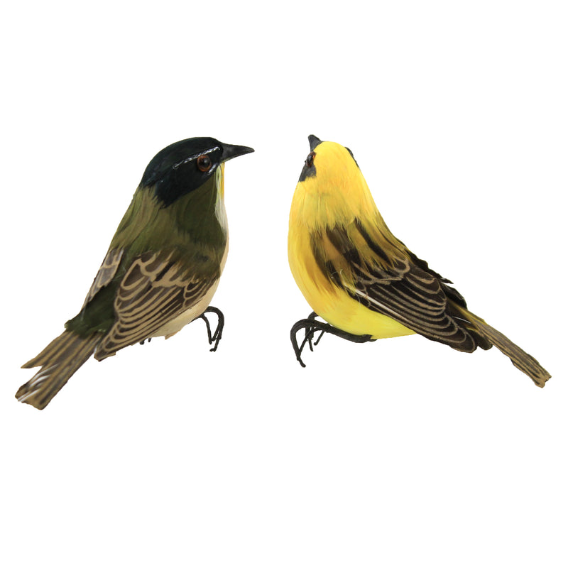 Home Decor Feather Birds - - SBKGifts.com