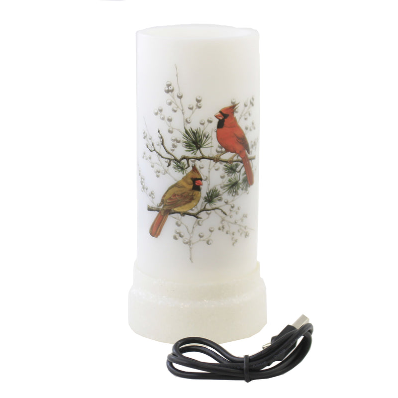 Christmas LED Projector w/ Cardinals Plastic Snowflakes 132626