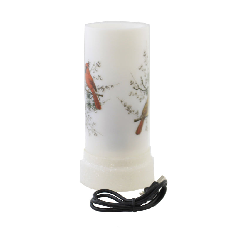 Christmas Led Projector W/Cardinals - - SBKGifts.com