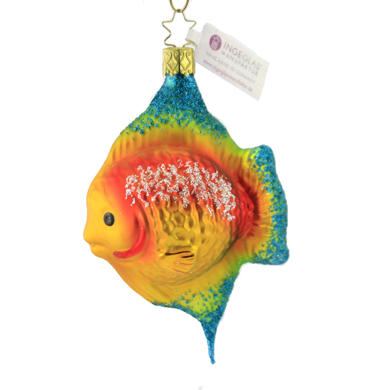 Angel Fish Yellow - One Ornament 4.75 Inch, Glass - Ornament Christmas Ocean 10098S021 (50838)